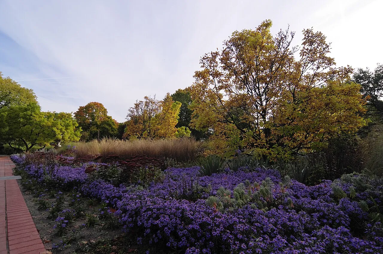 City Park