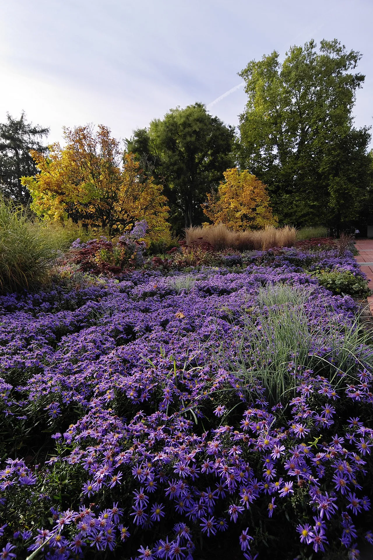 City Park