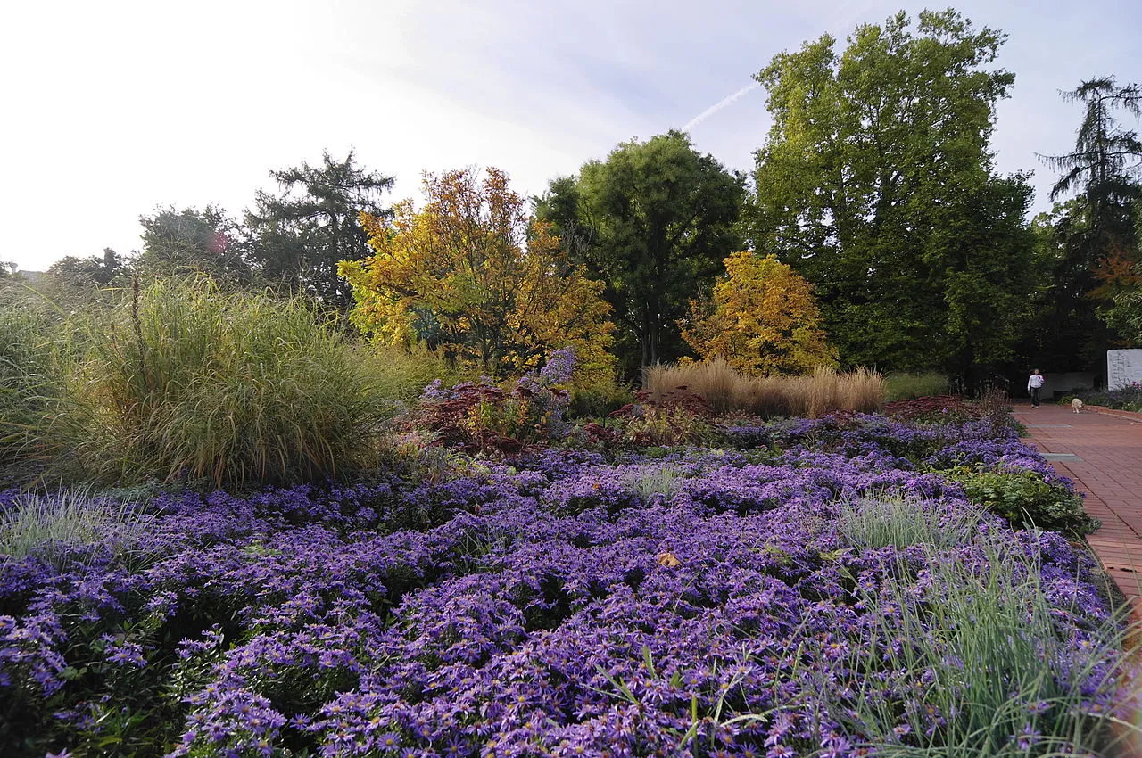 City Park