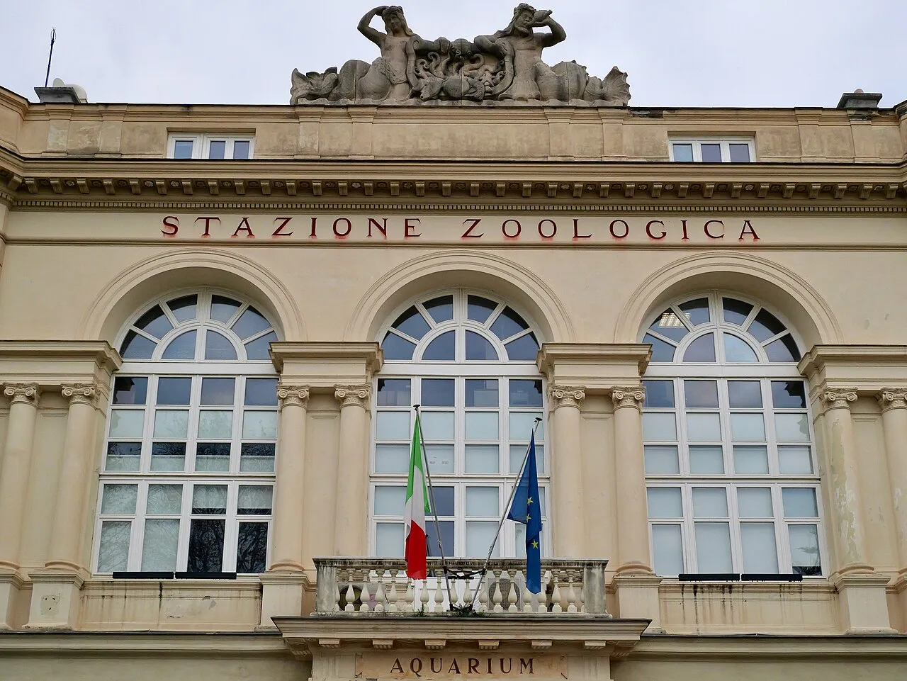 Aquarium of Naples