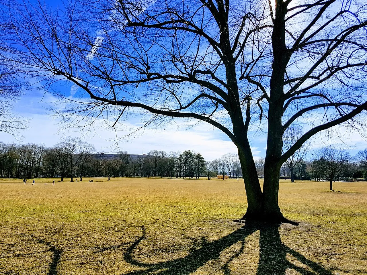 Luitpold Park
