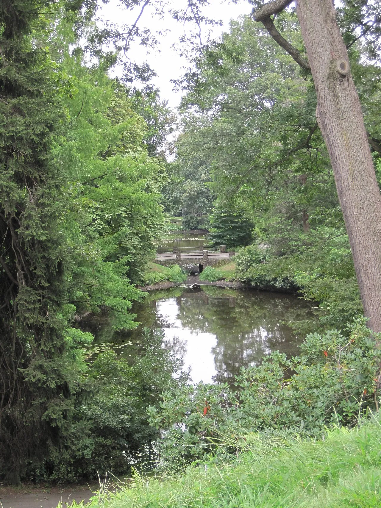 Mount Auburn Cemetery
