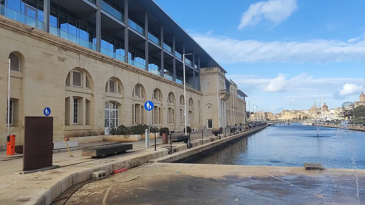 American University of Malta