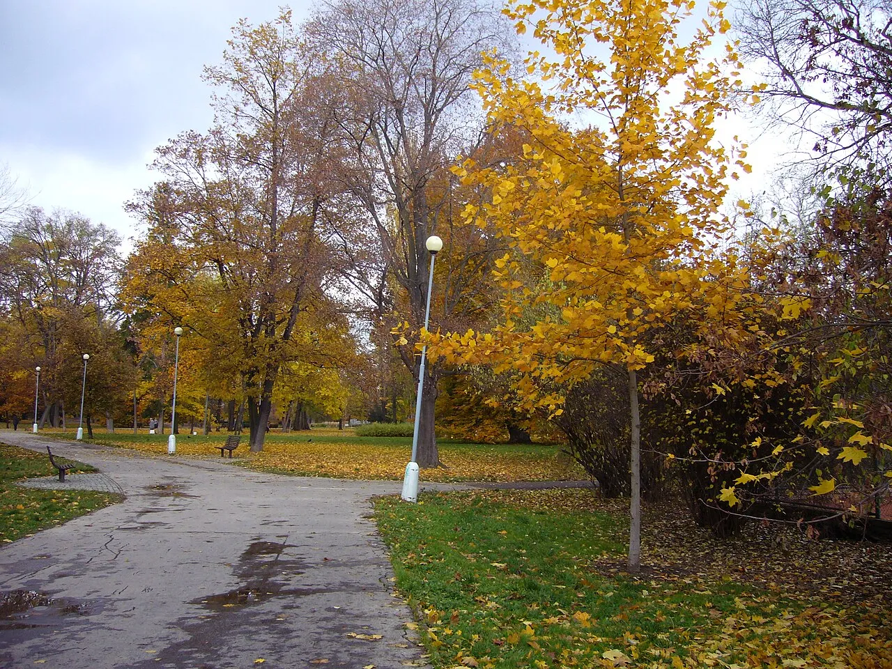 Lužánky Park