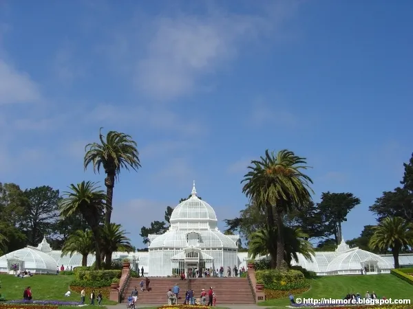Conservatory of Flowers