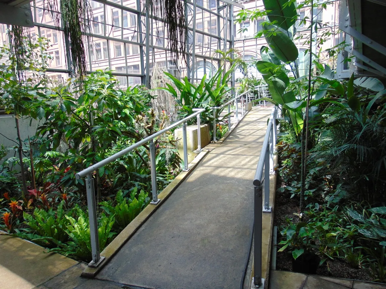 Cloud Gardens