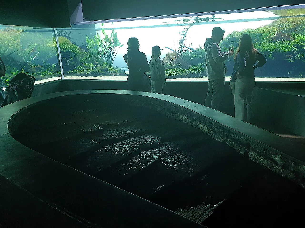 Lisbon Oceanarium