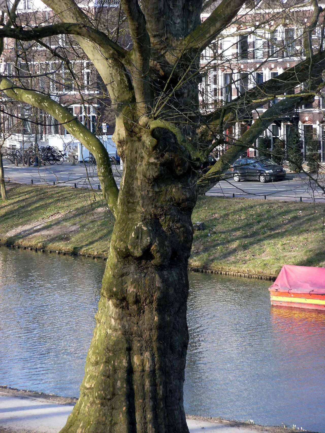 Zocherpark en Lepelenburg