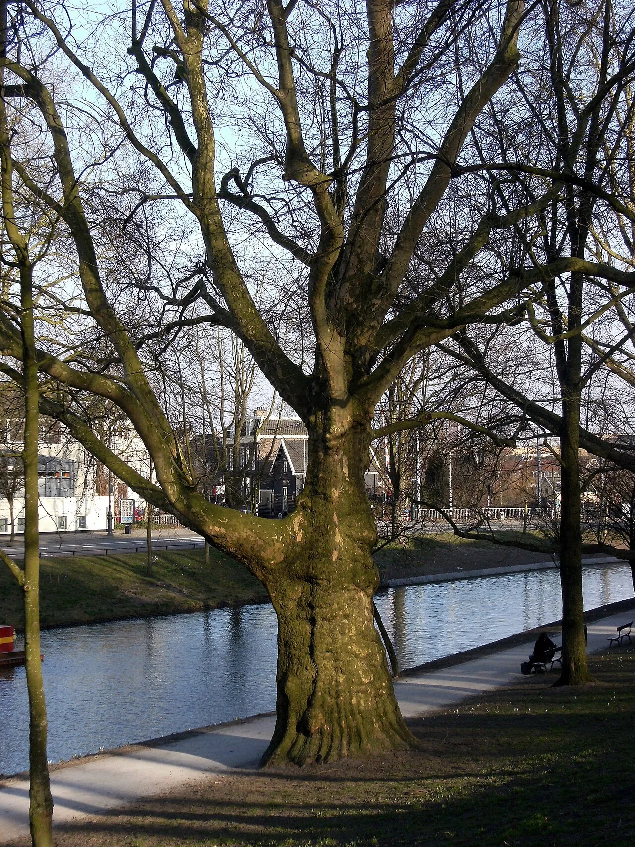 Zocherpark en Lepelenburg