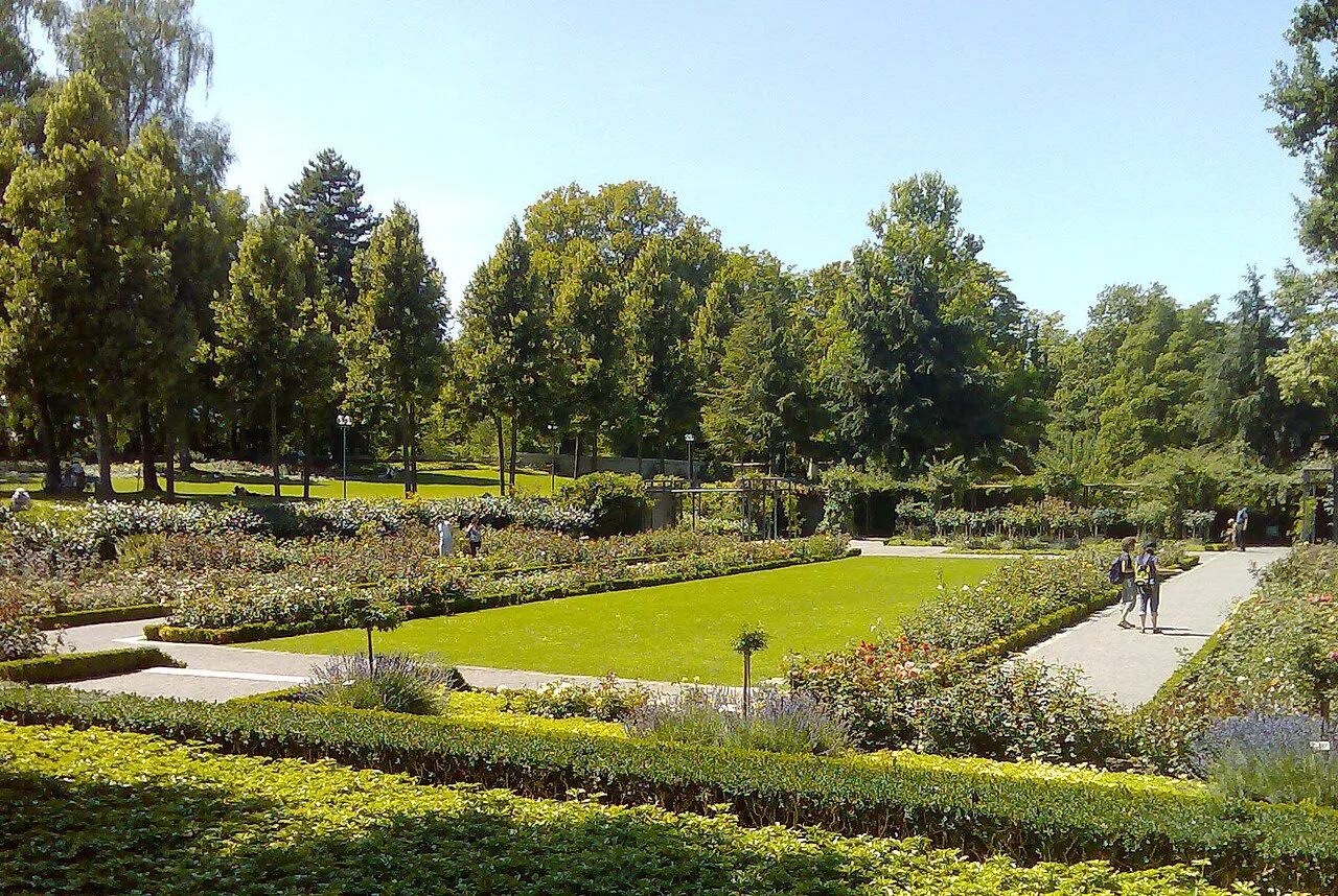 Rose Garden