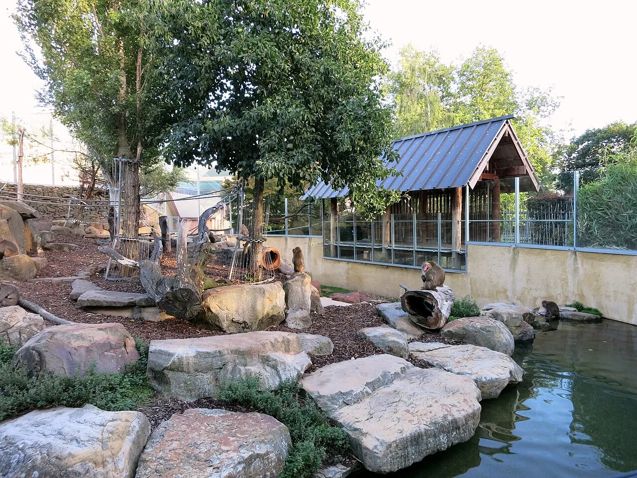 City Park