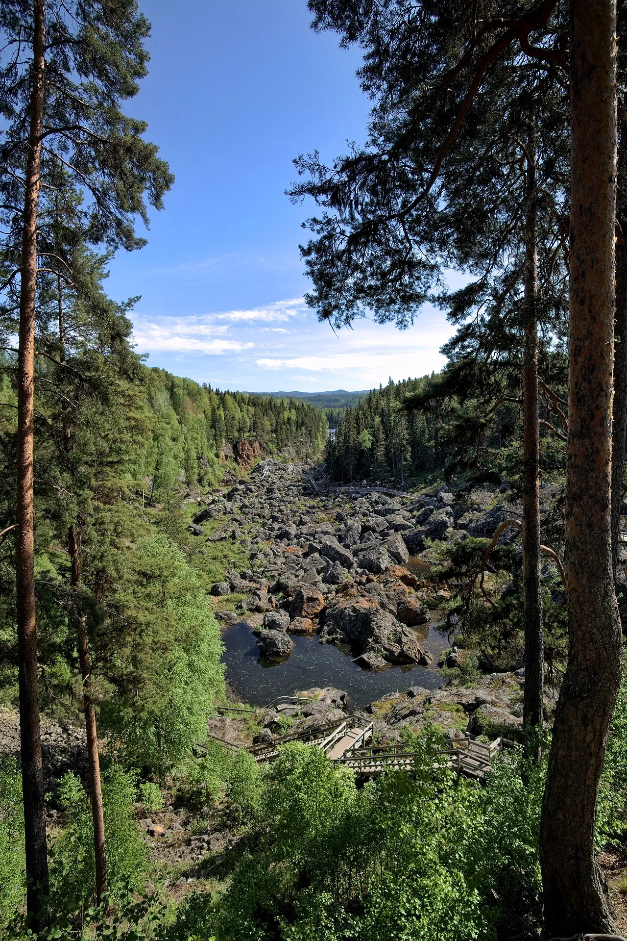 Döda fallet