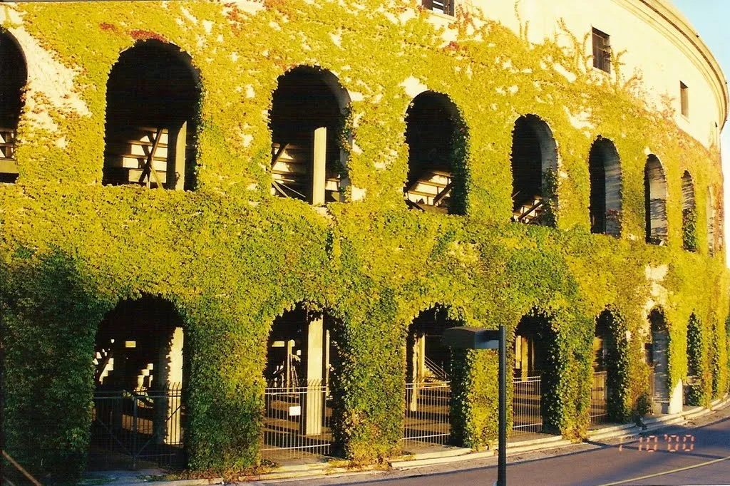 Harvard Stadium