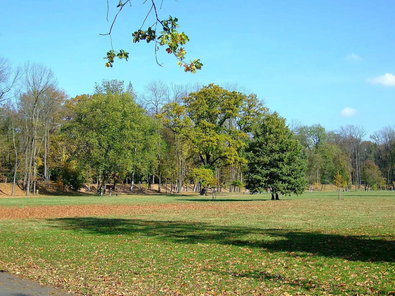 Stromovka