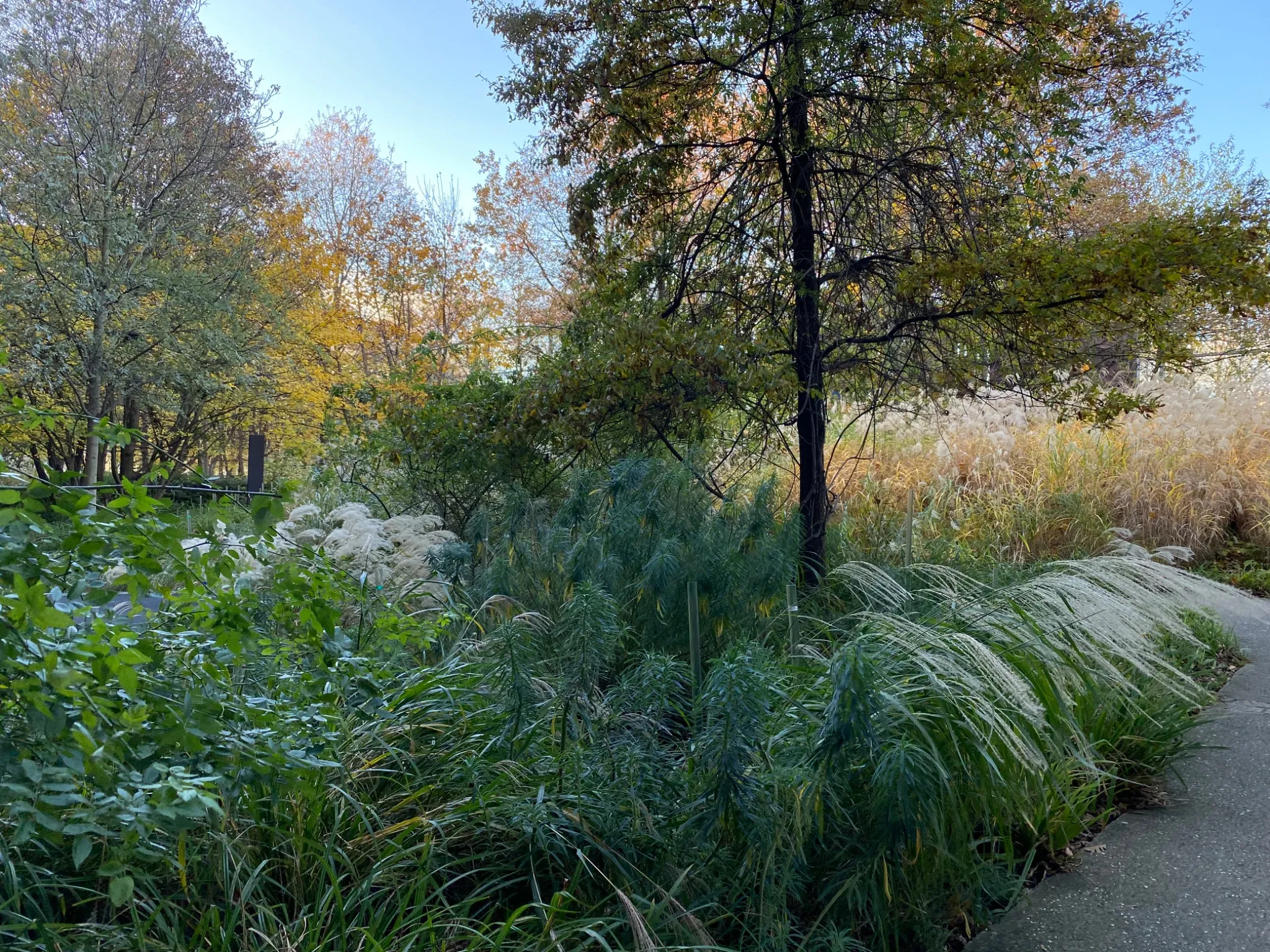 Musée du Quai Branly - Jacques Chirac