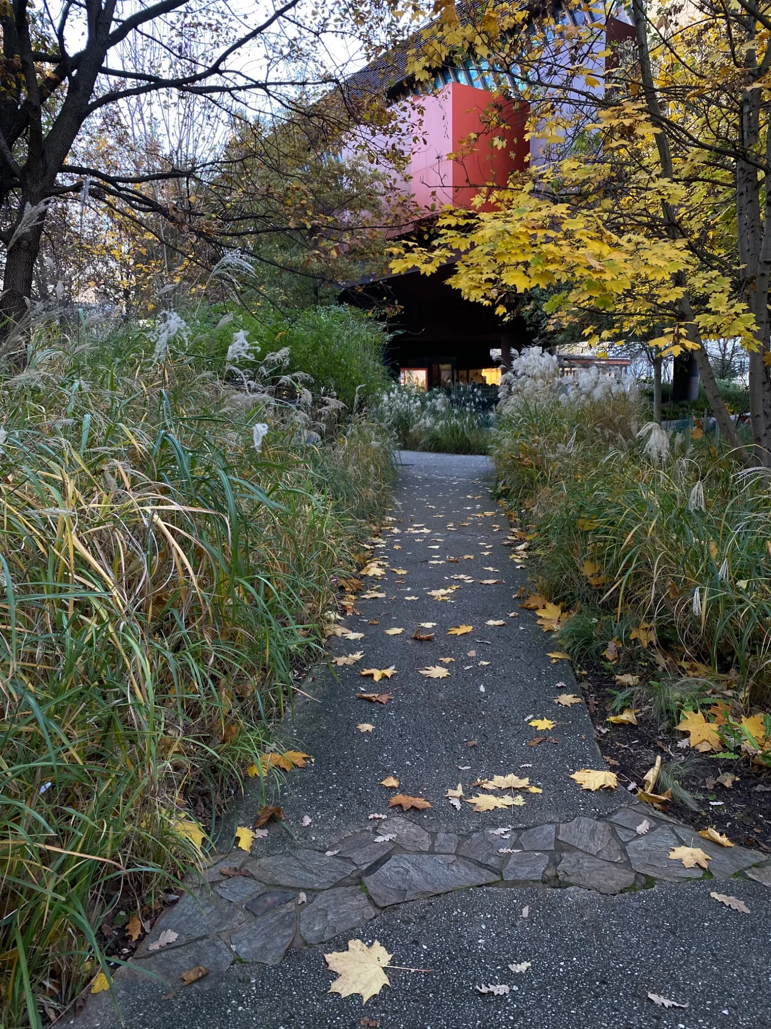 Musée du Quai Branly — Jacques Chirac