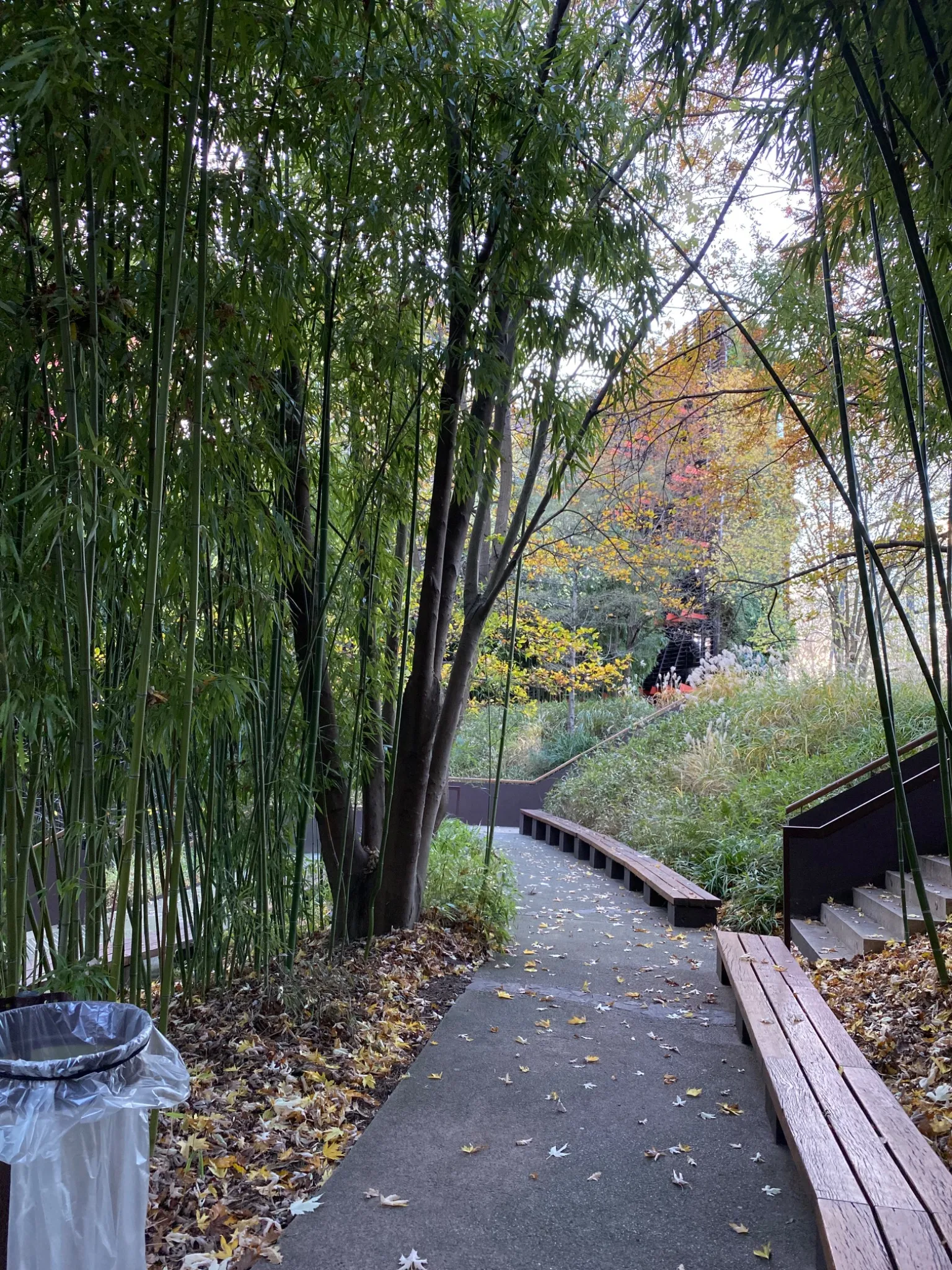 Musée du Quai Branly - Jacques Chirac