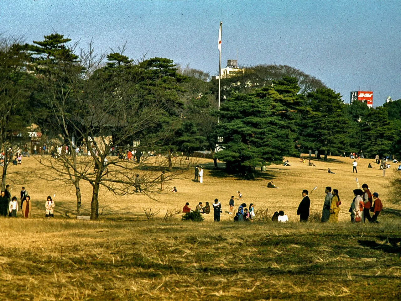 Yoyogi Park