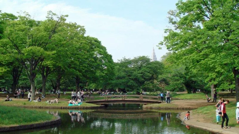 Yoyogi Park