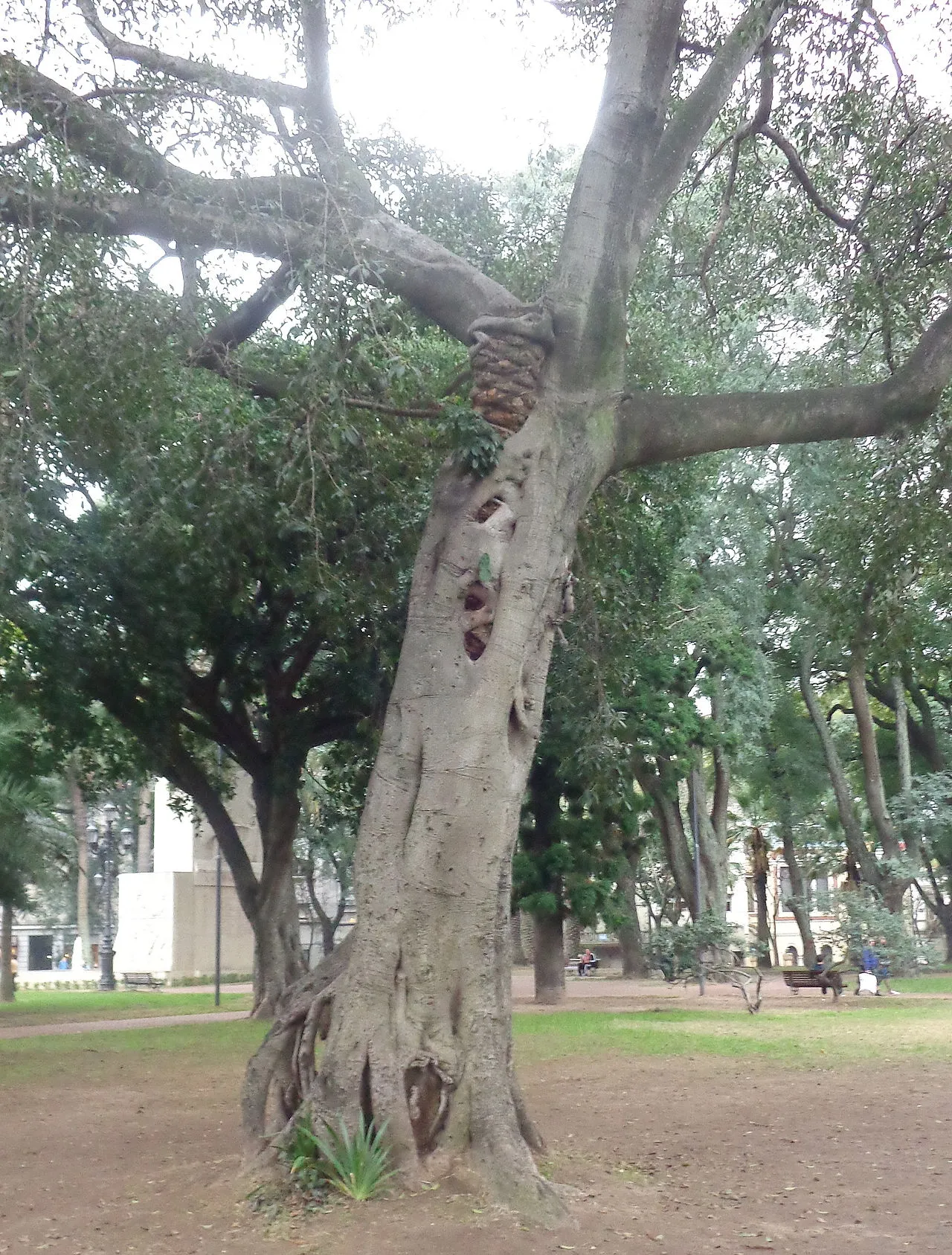 Lezama Park