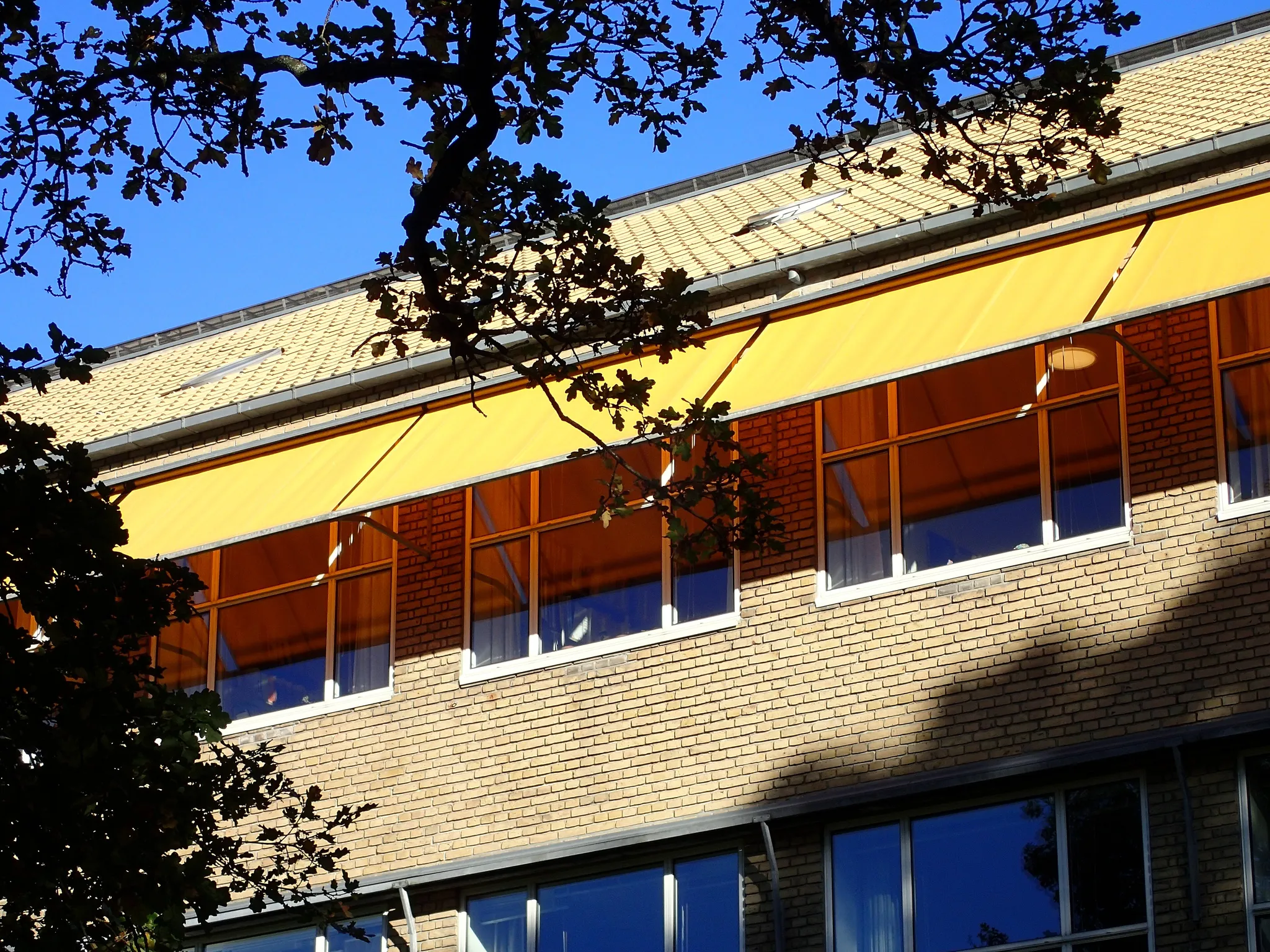 Aarhus University Campus