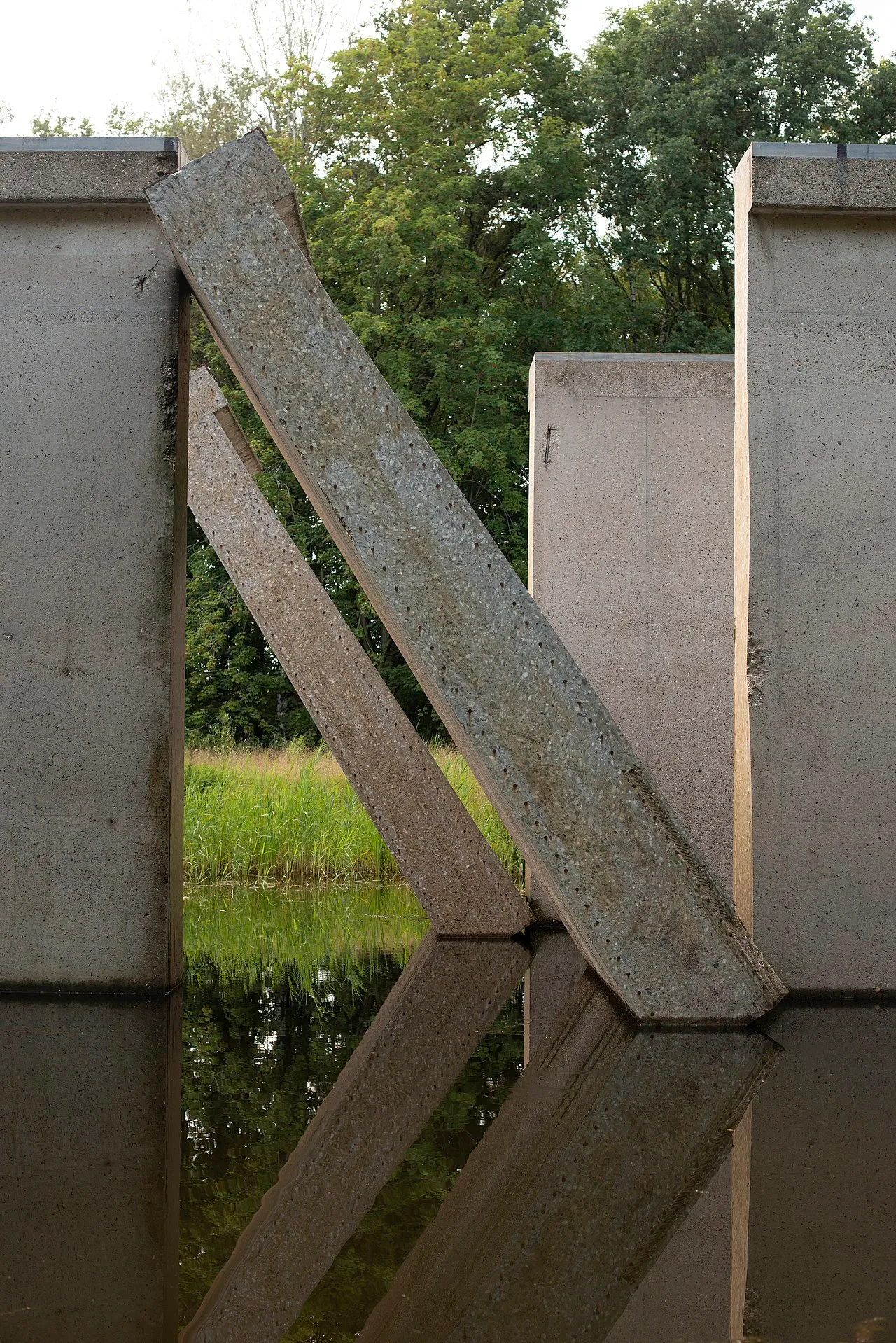 Waterloopbos