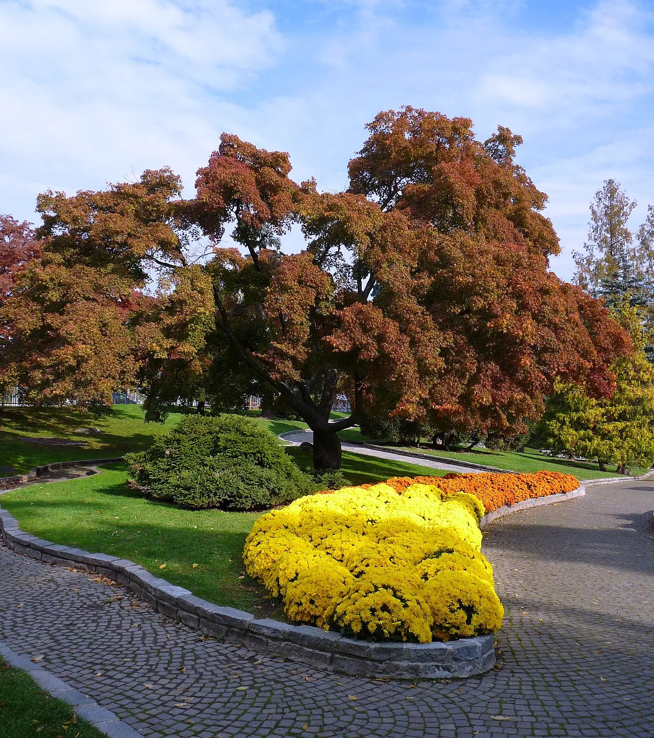 Parco del Valentino