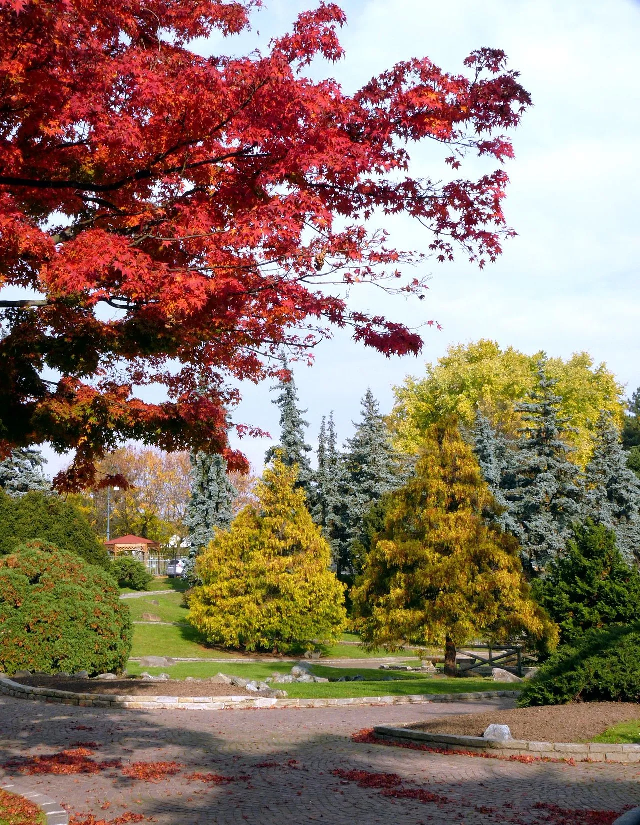 Parco del Valentino