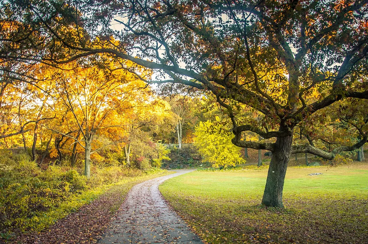 Franklin Park
