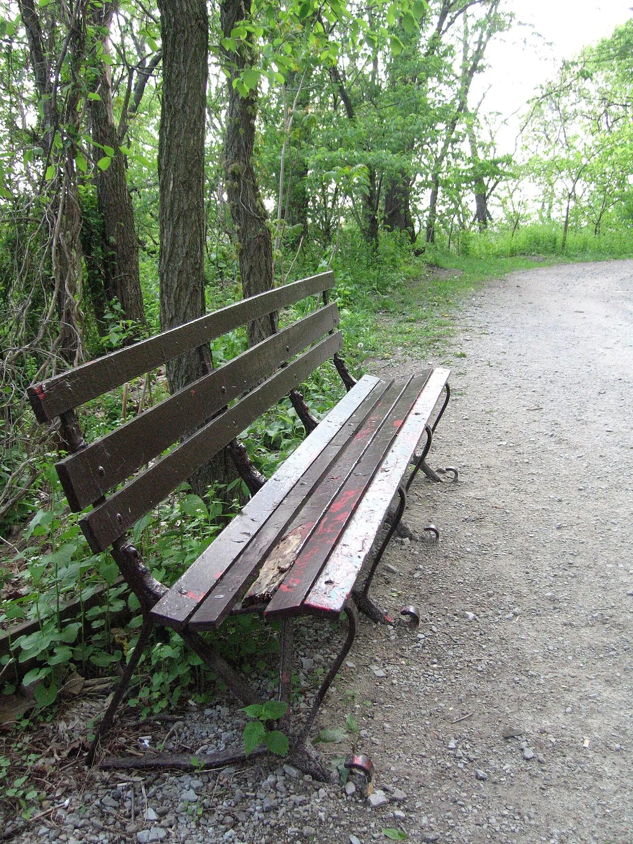 Schenley Park