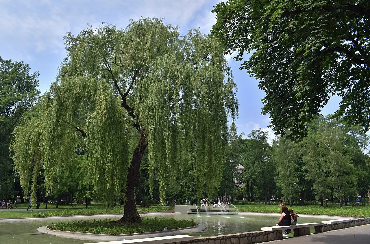 Kraków Park