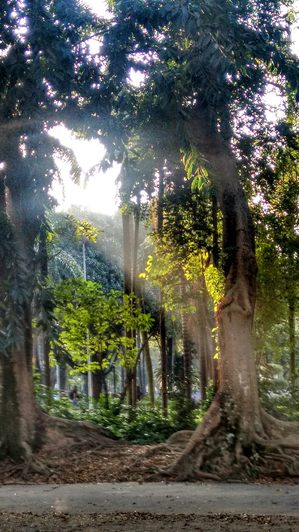 Luz Park