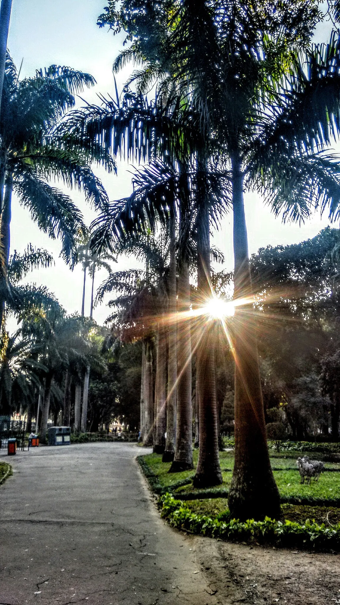 Luz Park