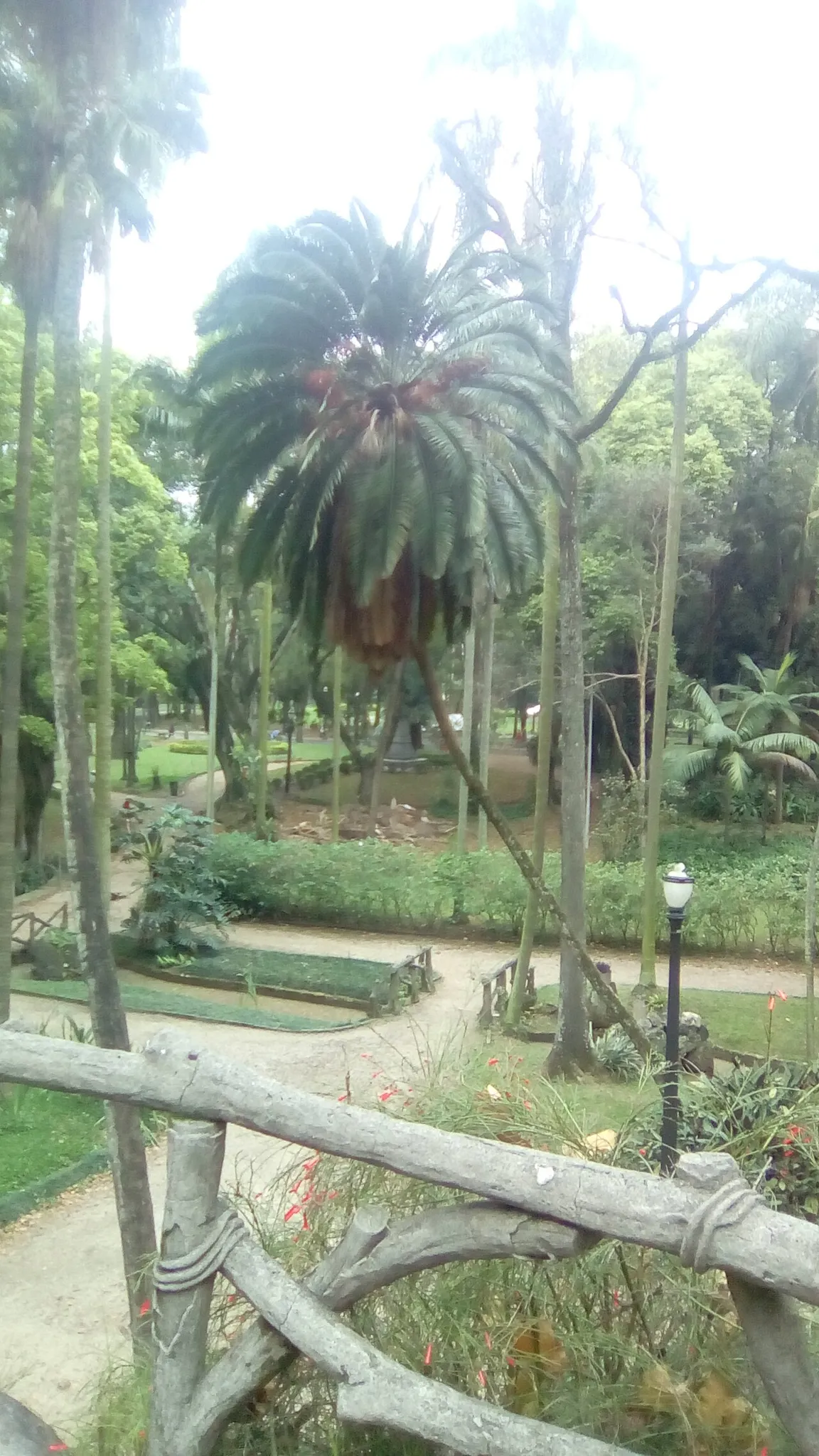Luz Park