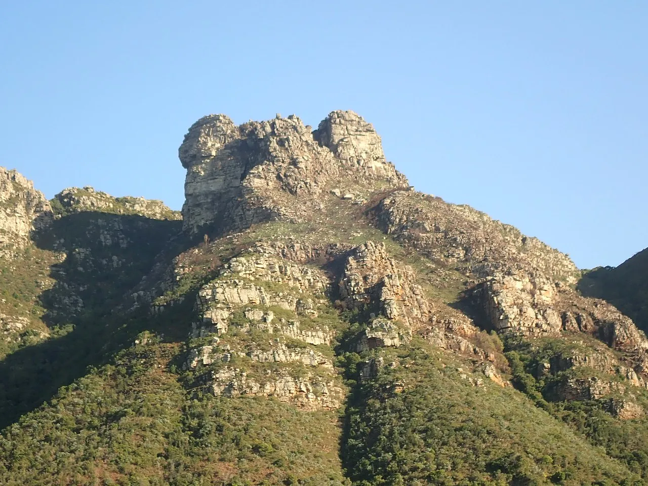 Kirstenbosch National Botanical Garden