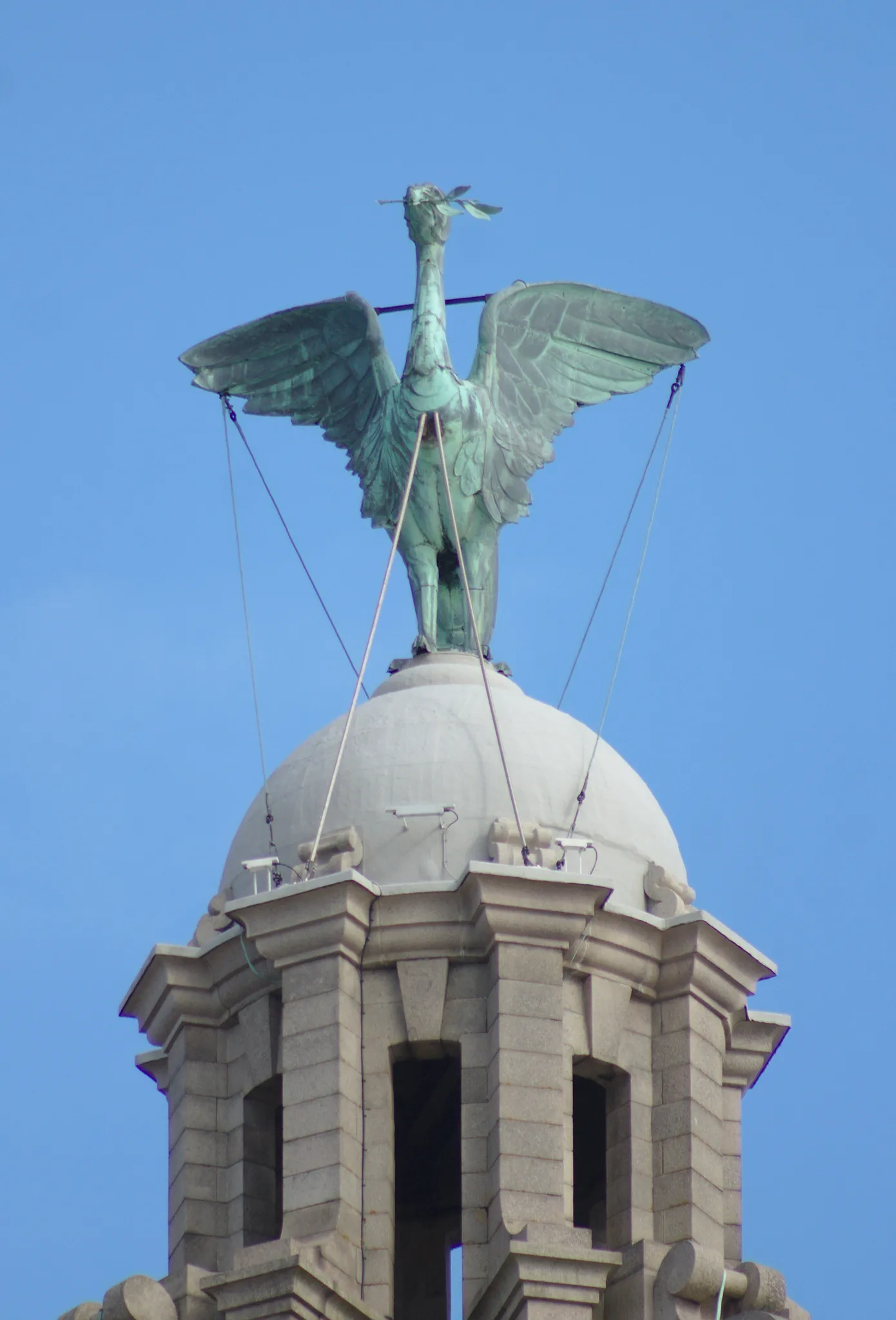 Liver Birds