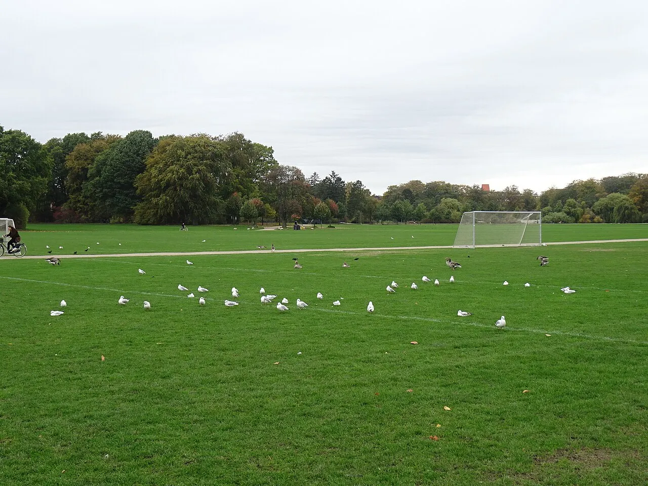 Fælled Park