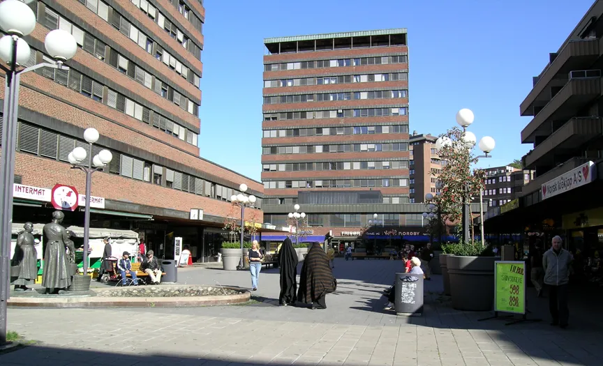 Tøyen Cultural District