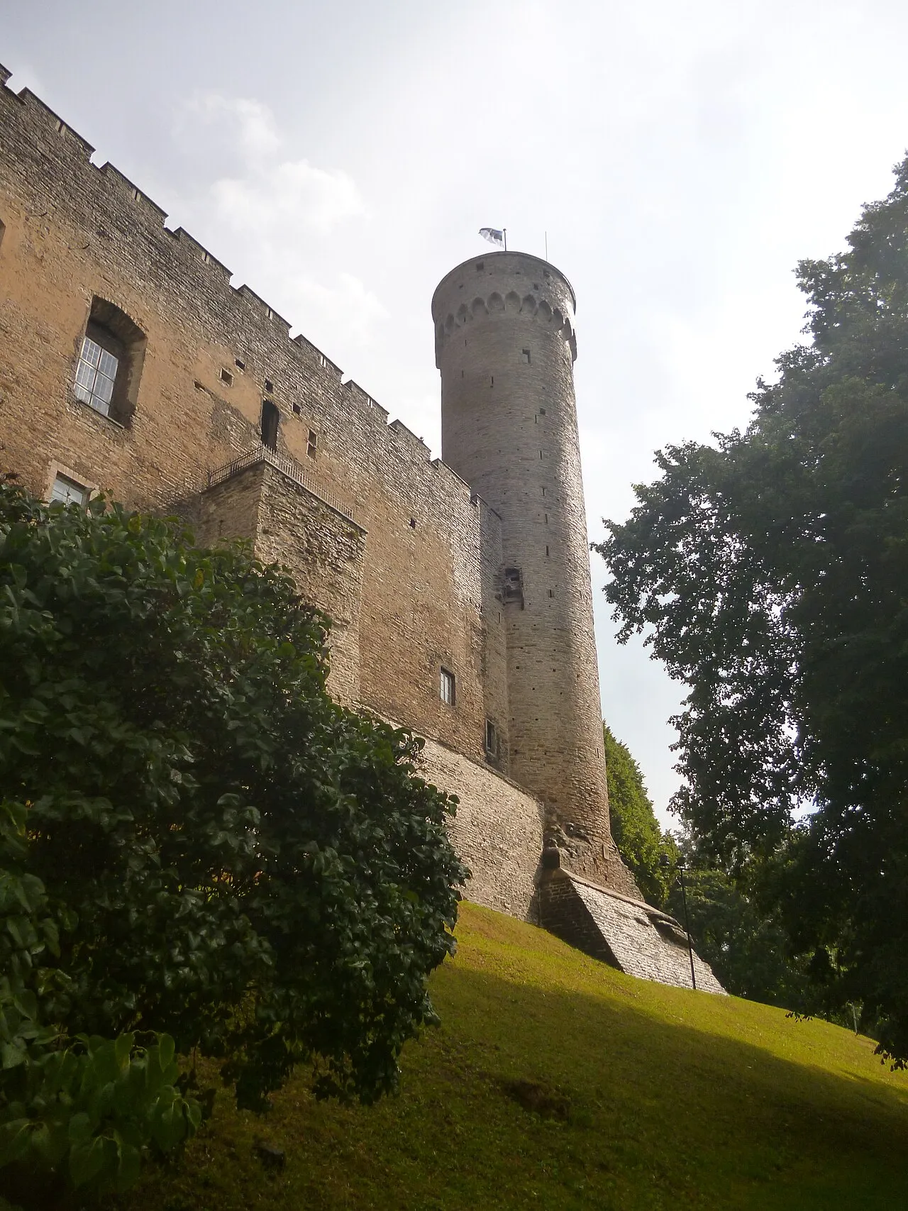Tall Hermann Tower