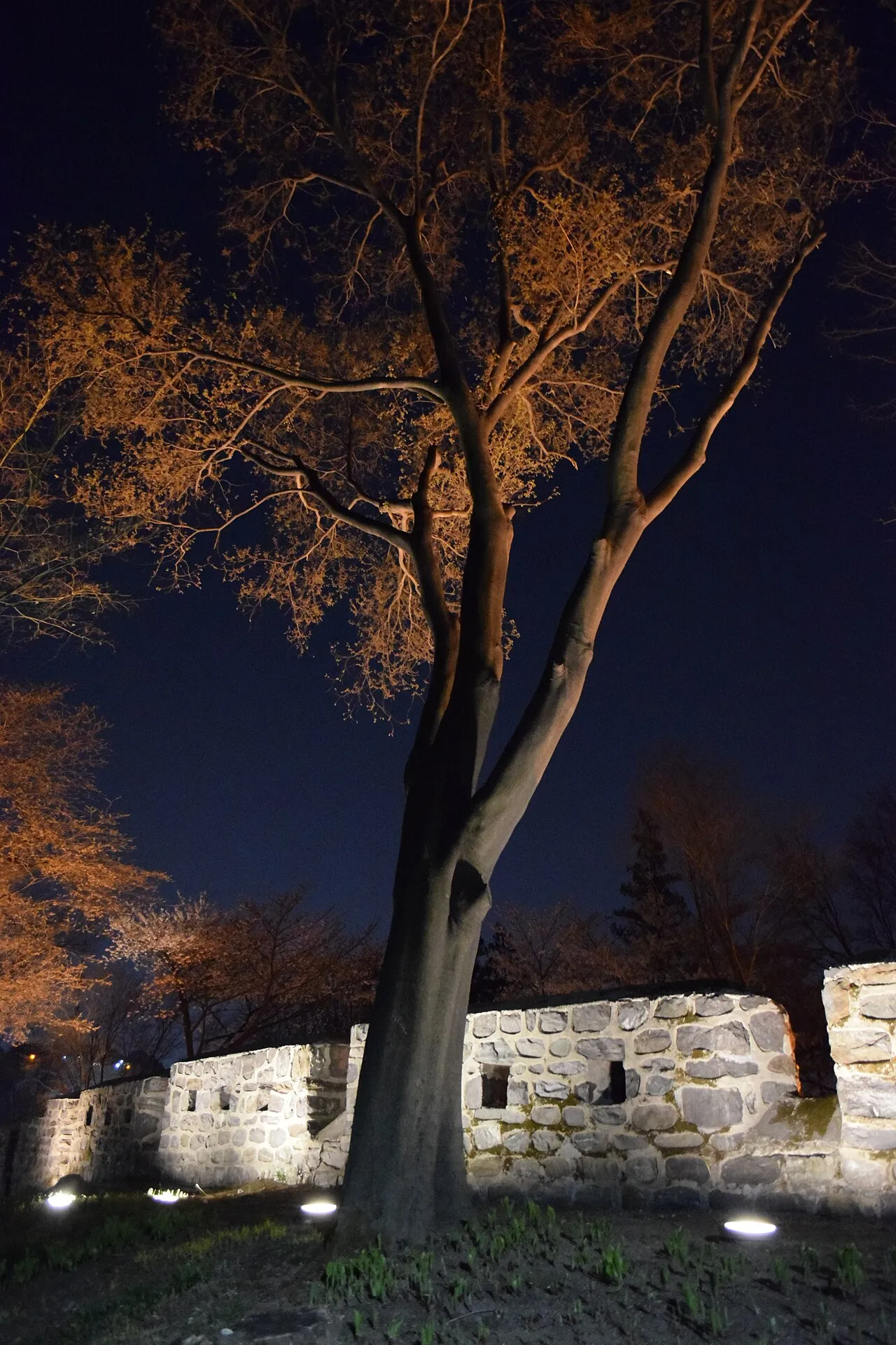 Seoul City Wall (Hanyangdoseong)