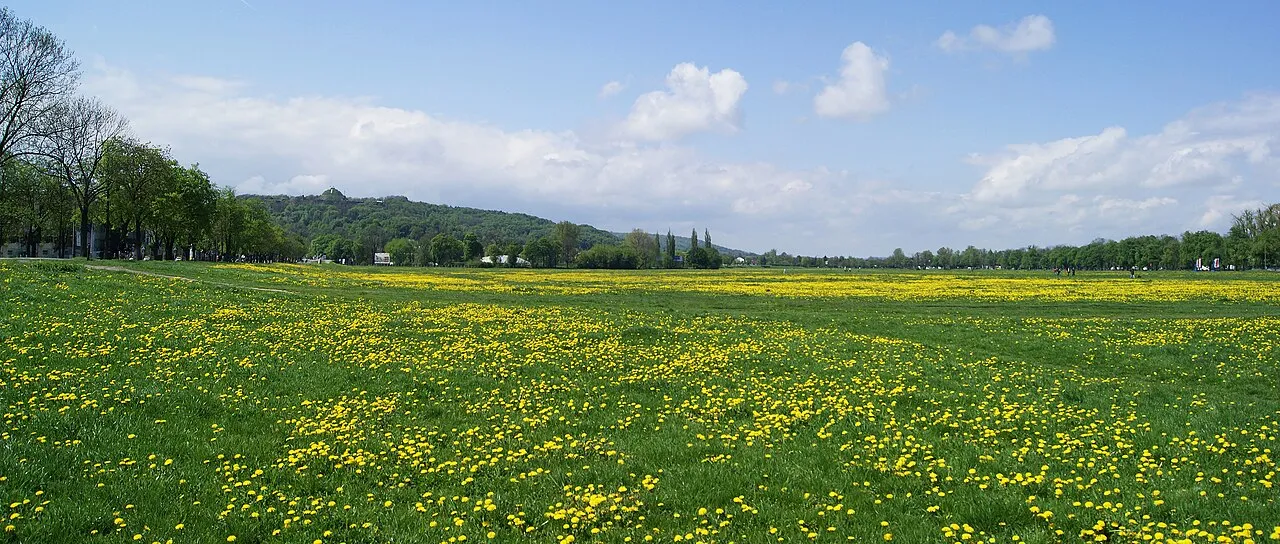 Błonia Meadow