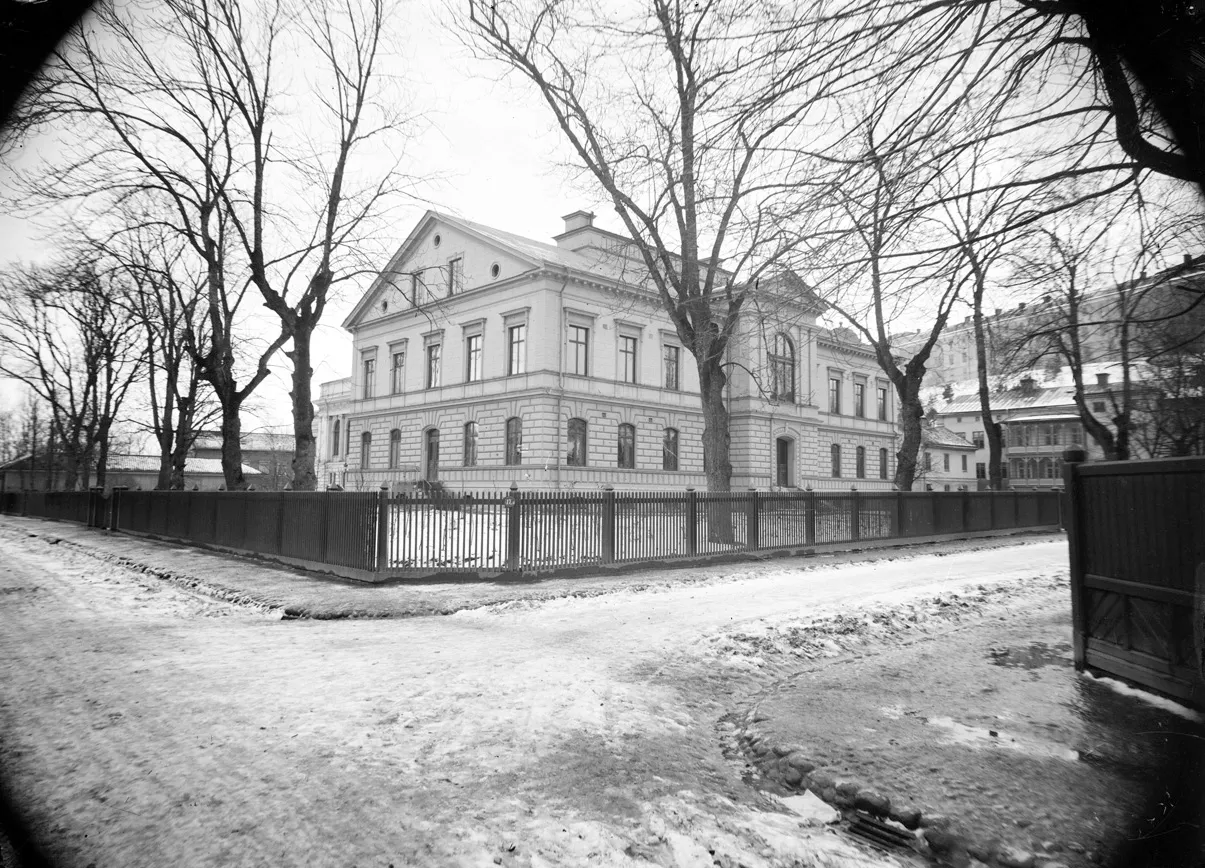 Regnellianum