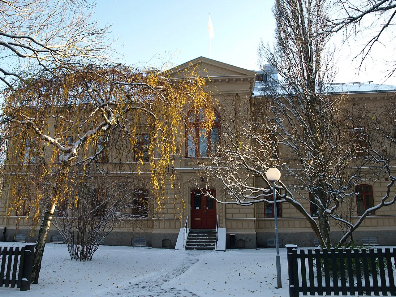Regnellianum