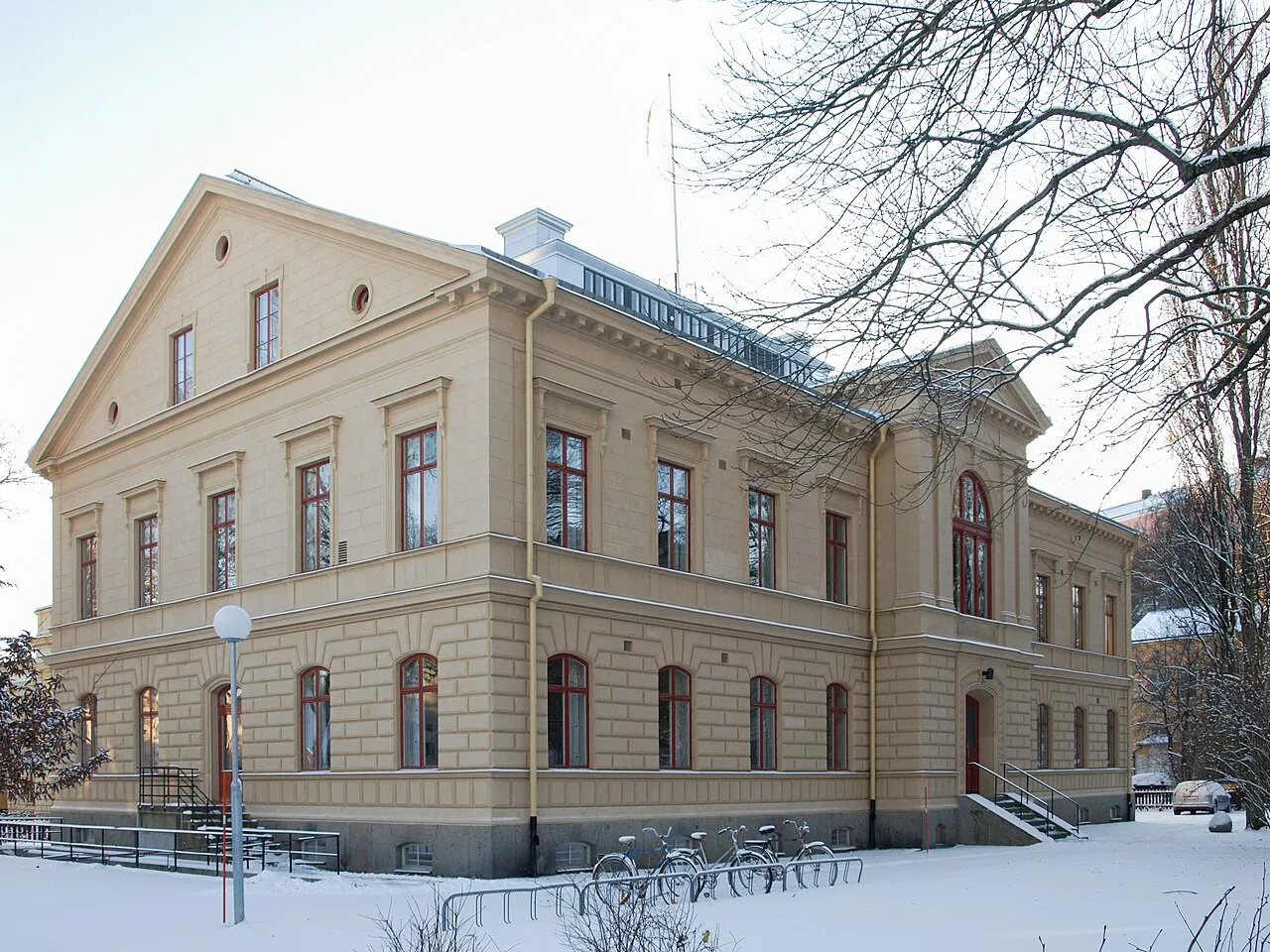 Regnellianum