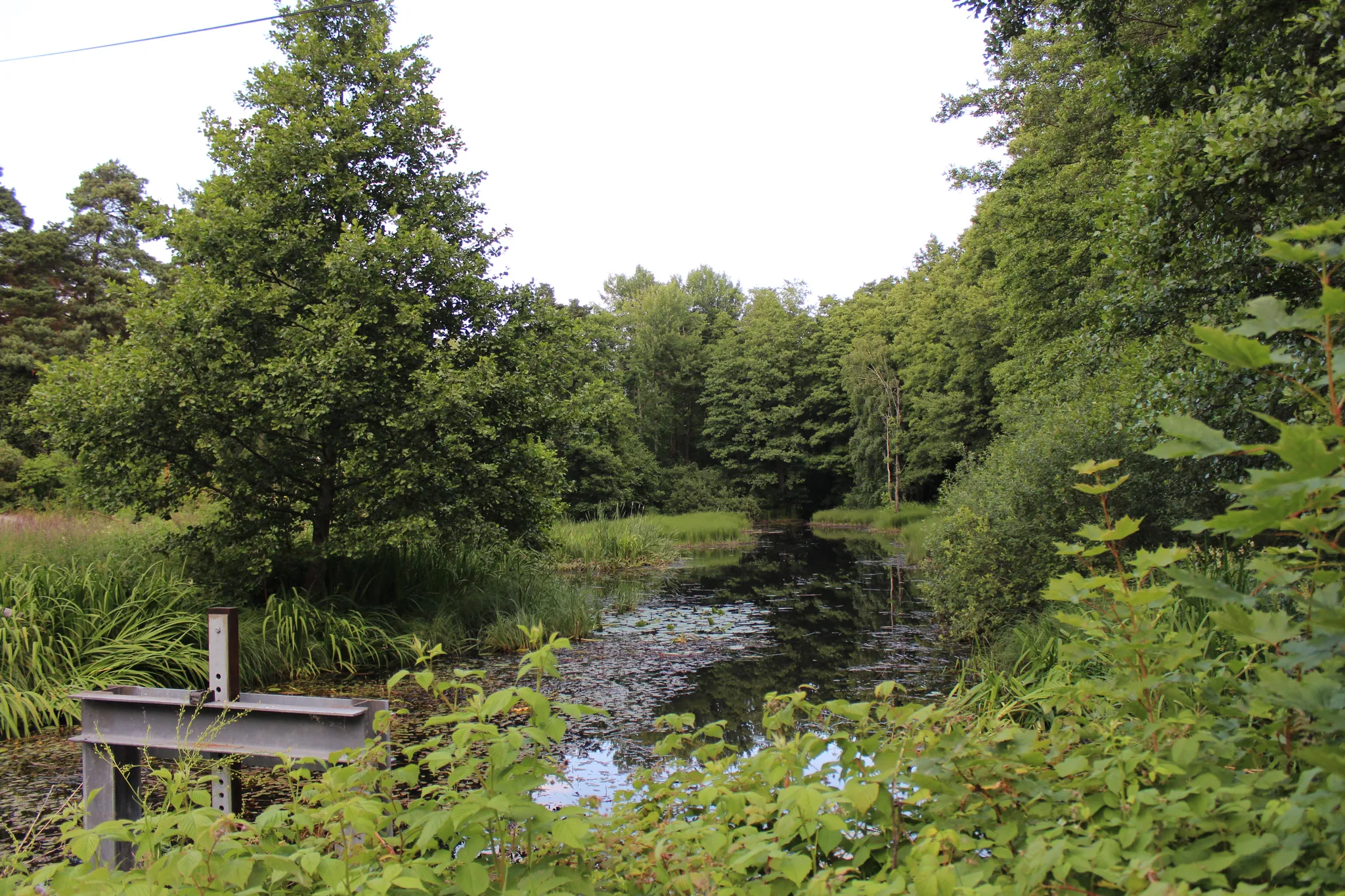 Landsnora mill
