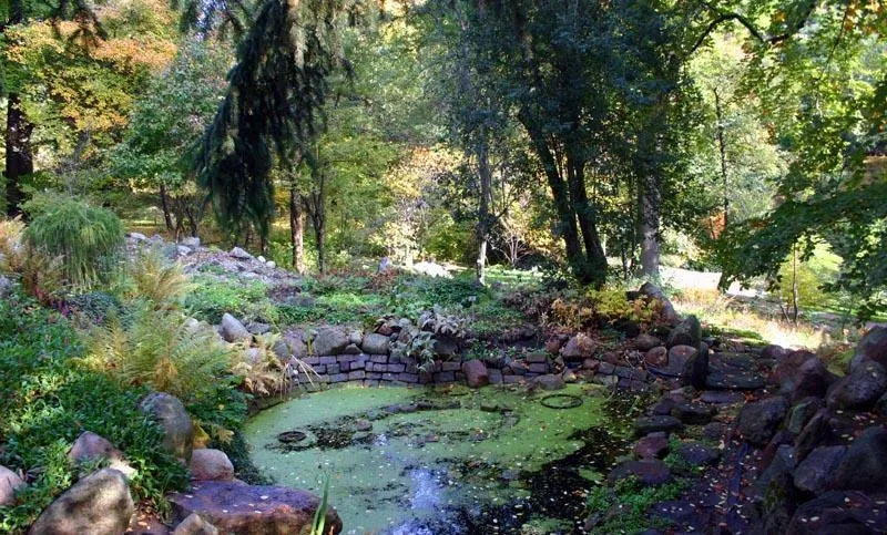 Warsaw Botanical Garden