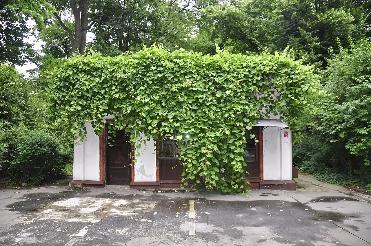 Warsaw Botanical Garden