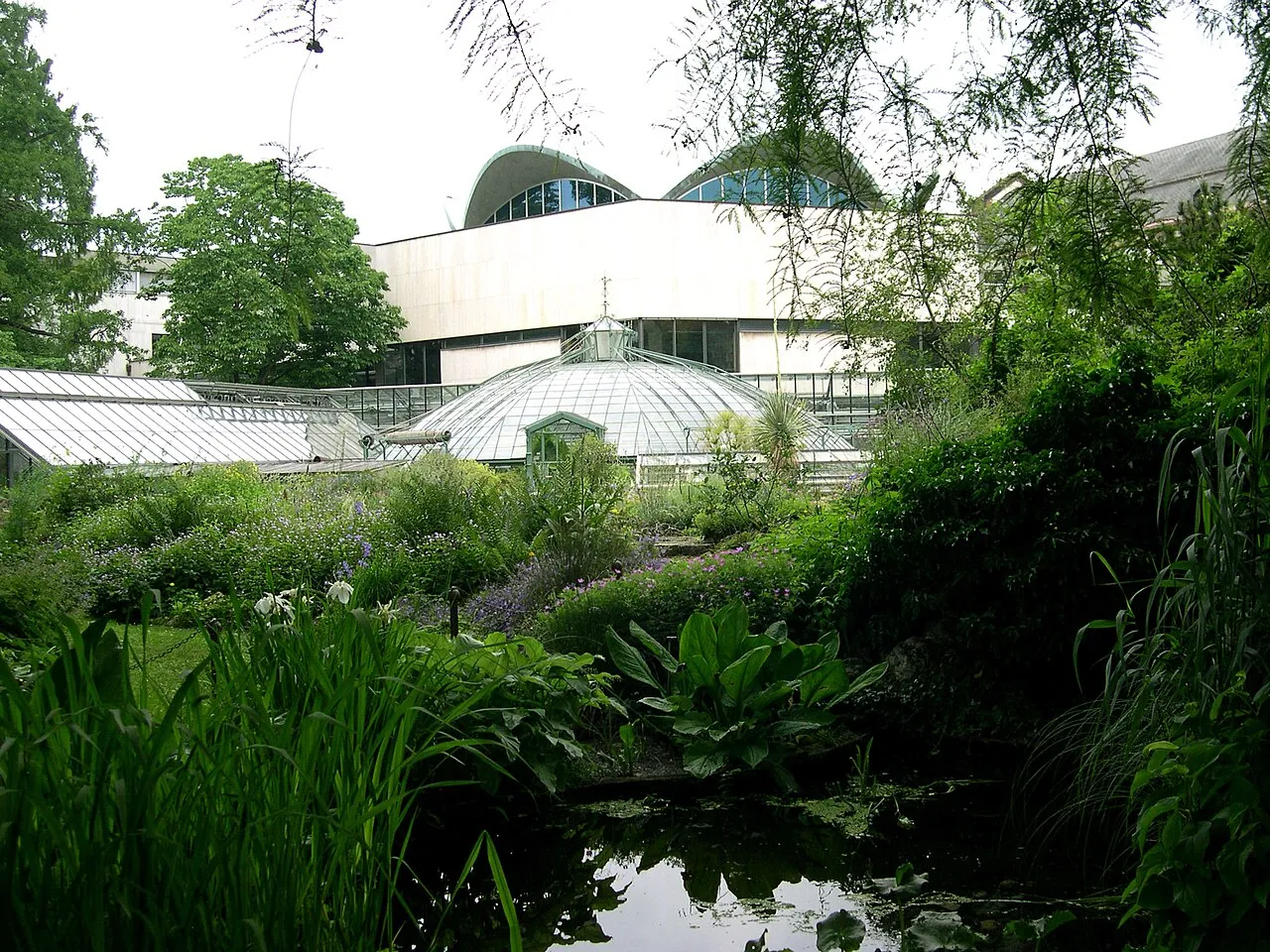 Botanischer Garten der Universität Basel