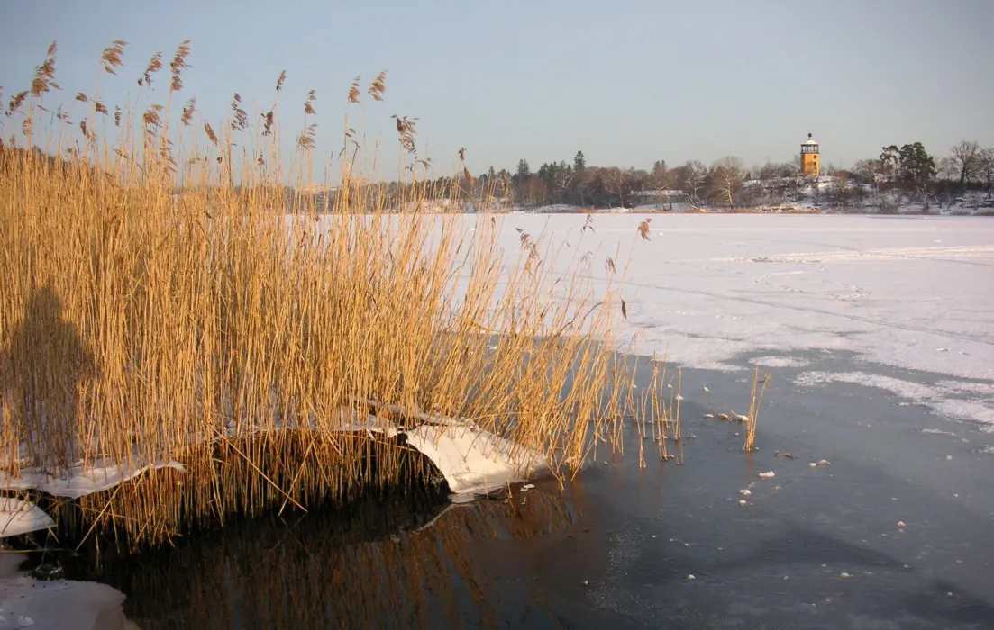 Haga Park