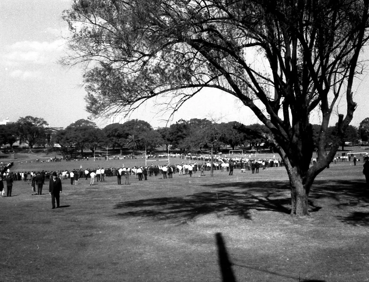 The Domain